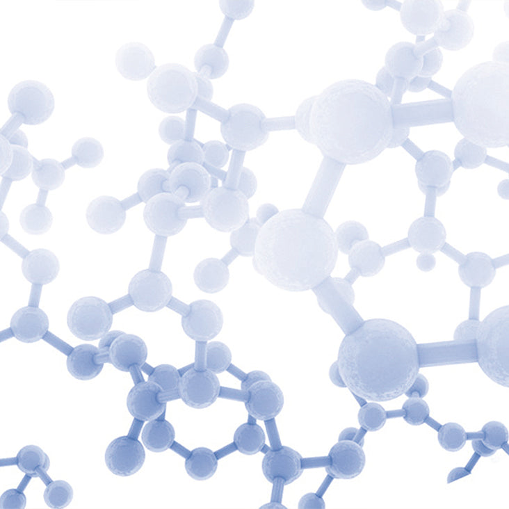 Expert Elasto Collagen Complex Ingredient