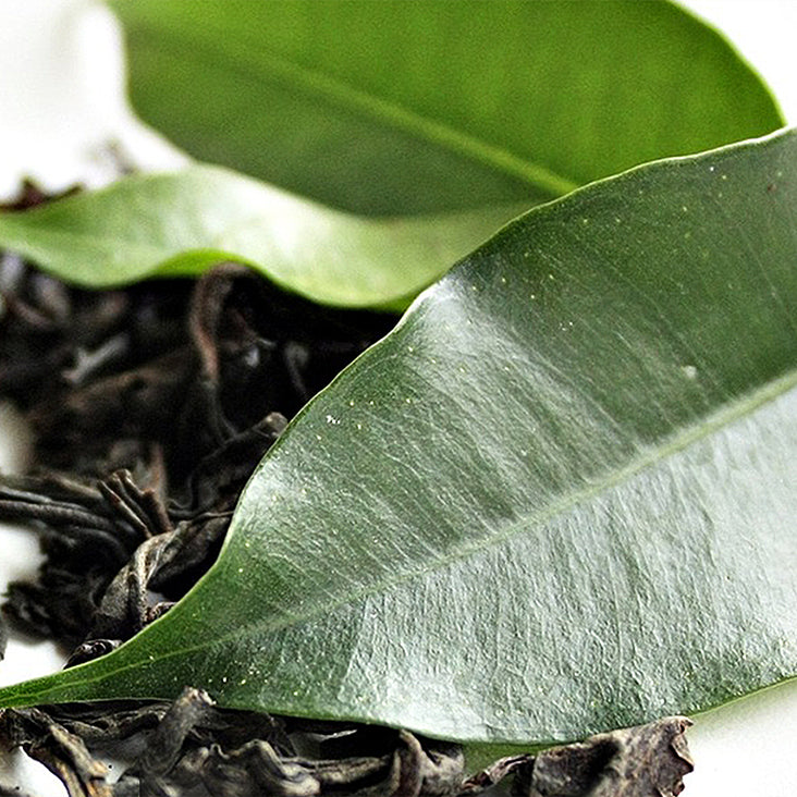 Eye Revival Marine Complex Ingredient