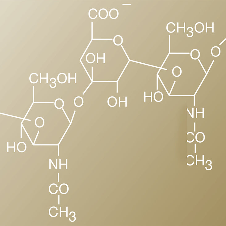 Liposomal Hyaluronic Acid Complex Ingredient