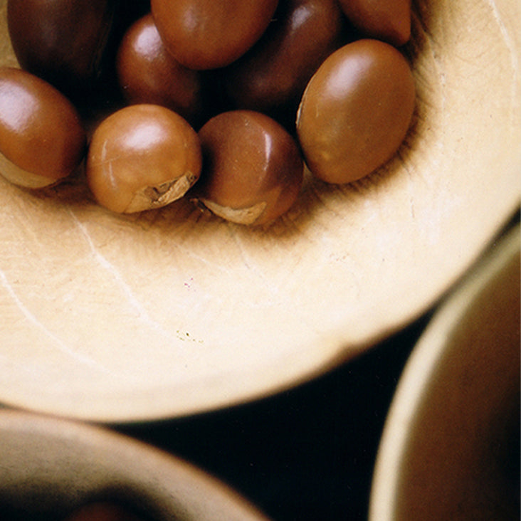 Shea Butter Ingredient
