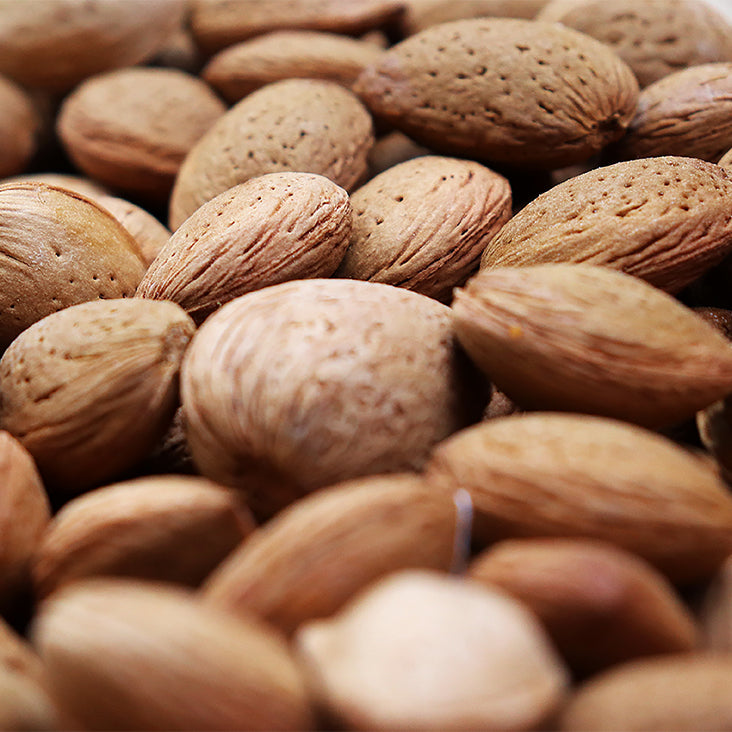 Sweet Almond Oil Ingredient
