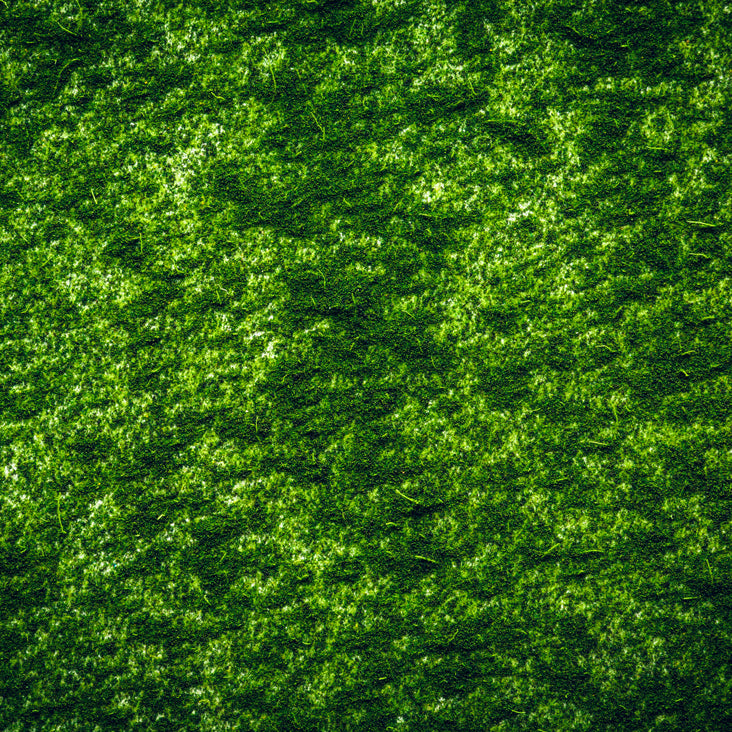 Chorella Algae Extract