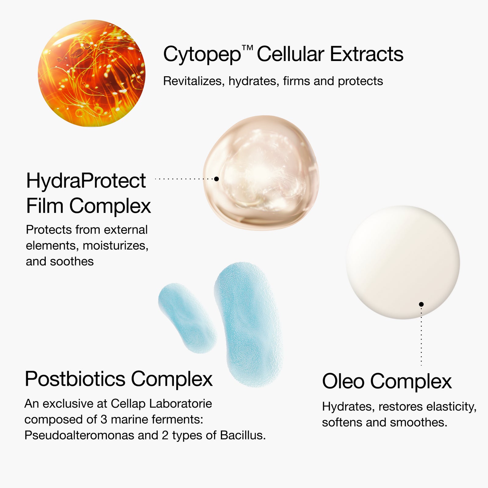 Cellmen Face Key Ingredients Featuring: Cytopep Cellular Extracts, HydraProtect Film Complex, Postbiotics Complex, and Oleo Complex.