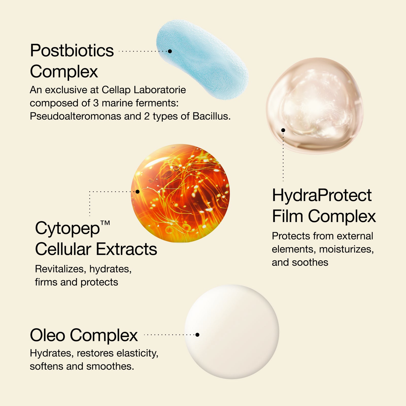 Key Ingredients including Postbiotics Complex, HydraProtect Complex, Cytopep Cellular Extracts and Oleo Complex.
