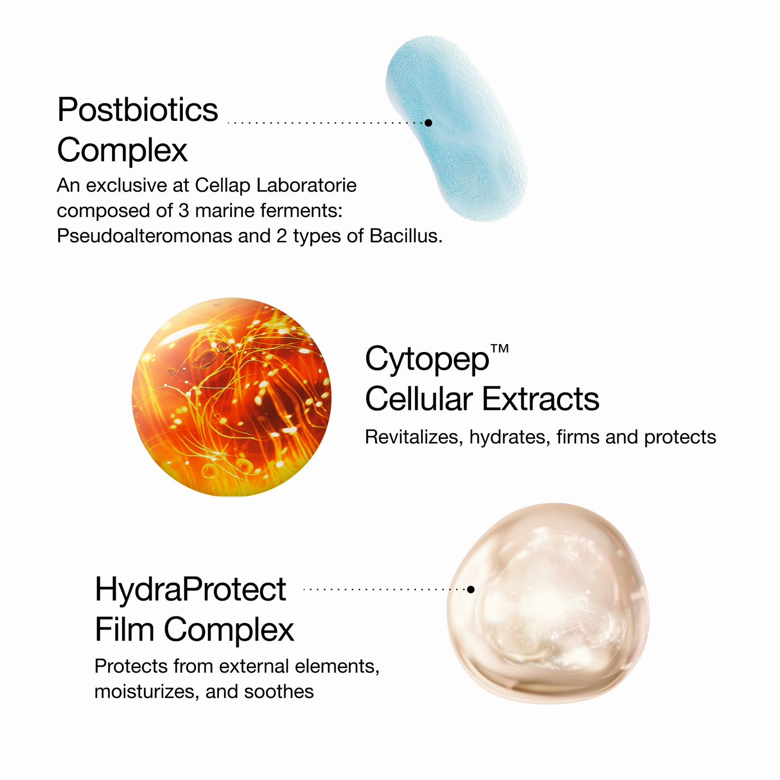 Key Ingredients including Postbiotics Complex, Cytopep Cellular Extracts and HydraProtect Film Complex.