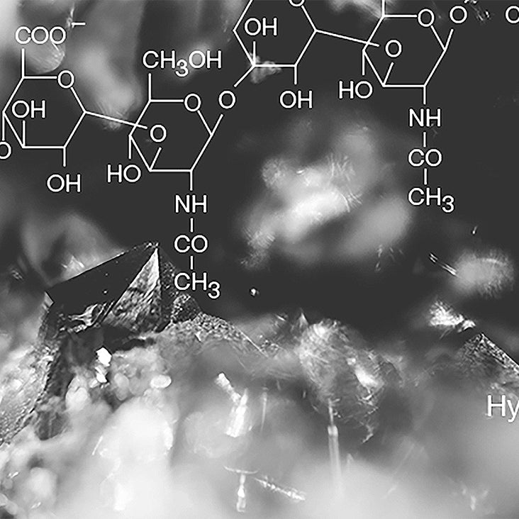 Hyaluronsilanol Complex Ingredient