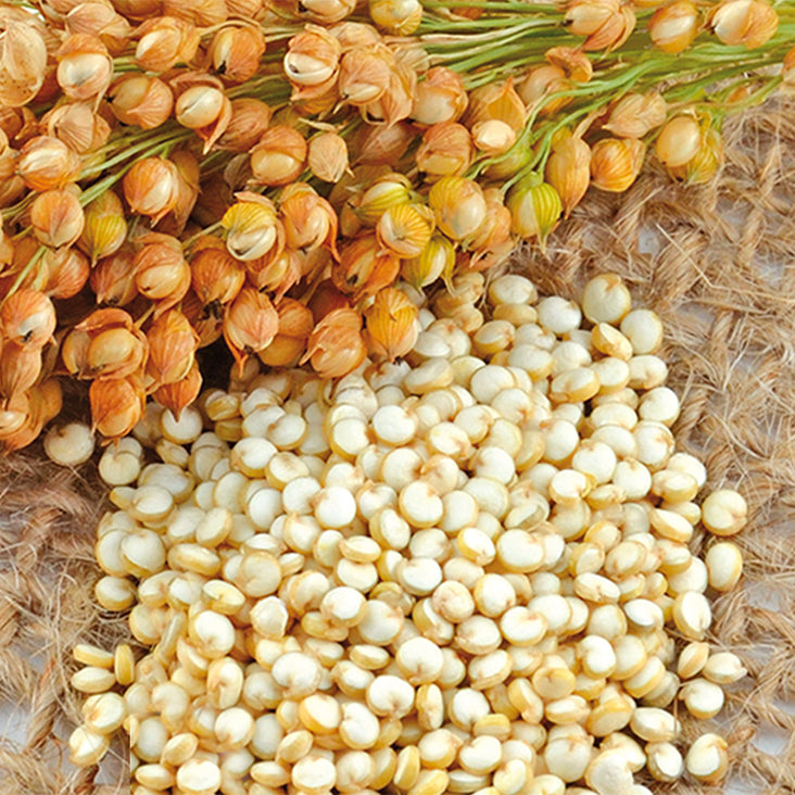 Sveltfermete Complex Ingredient