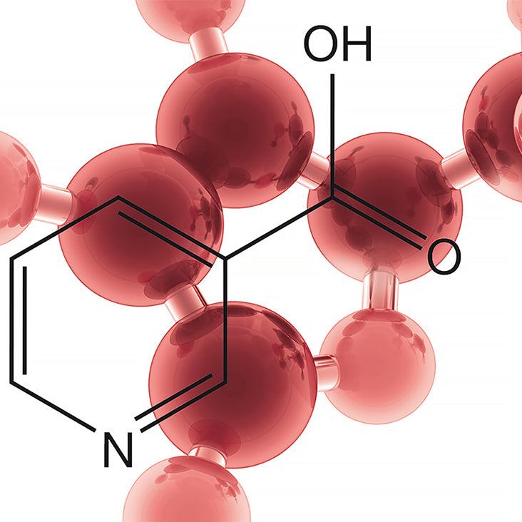 Vitamin B3 Ingredient