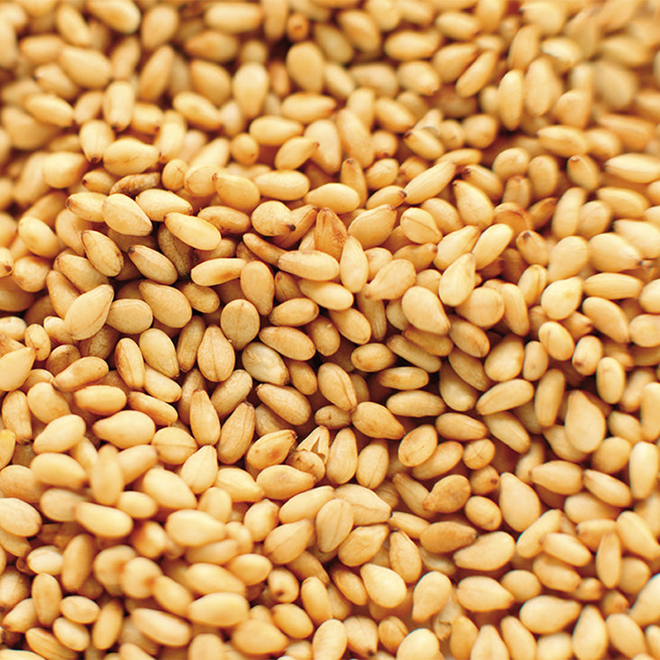 Volufill Complex Ingredient